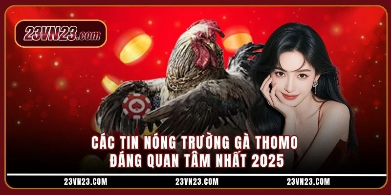 Các tin nóng trường gà Thomo đáng quan tâm nhất 2025