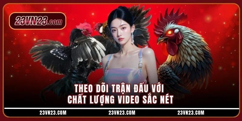 Theo dõi trận đấu với chất lượng video sắc nét